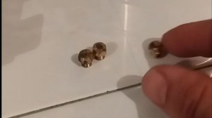 Почему коптит газовая плита? Разбираем причины черной копоти на посуде.