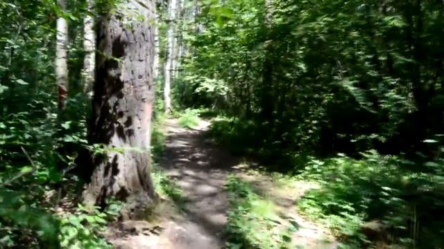 Летняя распаковка! ШАГОМЕР смотреть онлайн