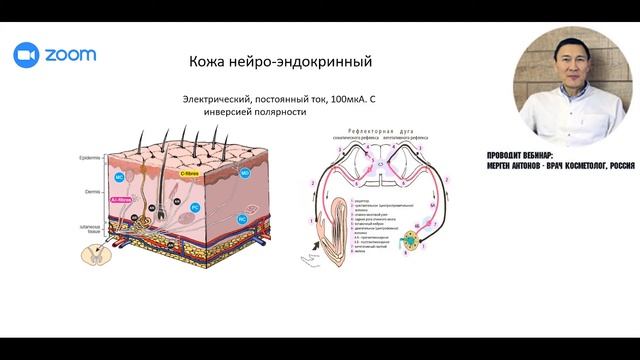 Возможности аппарата AFFINITY/MesoStrip для НОВИЧКОВ и тех, кто уже работает