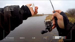 По весенним местам осенью с Crazy Fish Nano Zero Carbon.