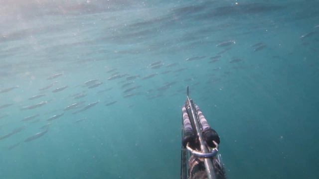 подводная охота в черном море 18 10 2022 смотреть онлайн