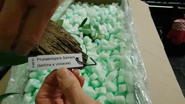 An unexpected unboxing; Keith's been at it again! смотреть онлайн
