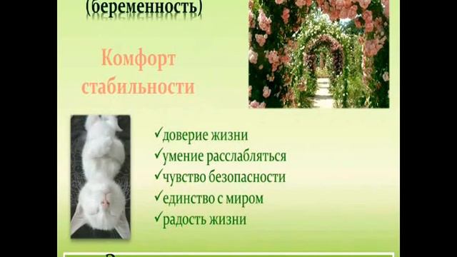 Семинар "Мама, я хочу родиться счастливым!" смотреть онлайн