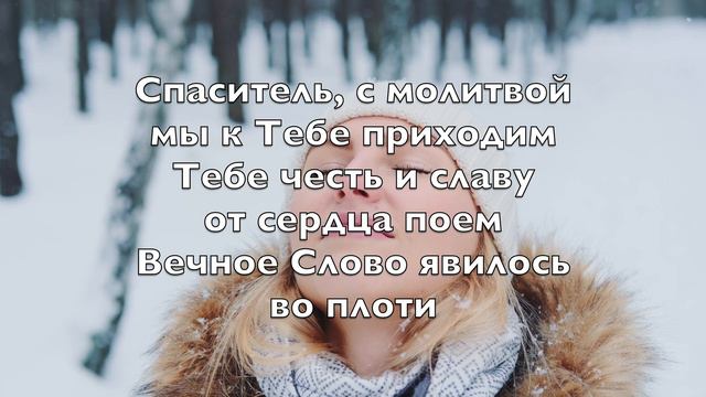 Придите к Младенцу (O Come All Ye Faithful) - Kараоке Сопрано саксофон инструментальный V1 RuPN смотреть онлайн