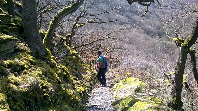 Weilerbachtal [RP] {MC160326-1235} смотреть онлайн