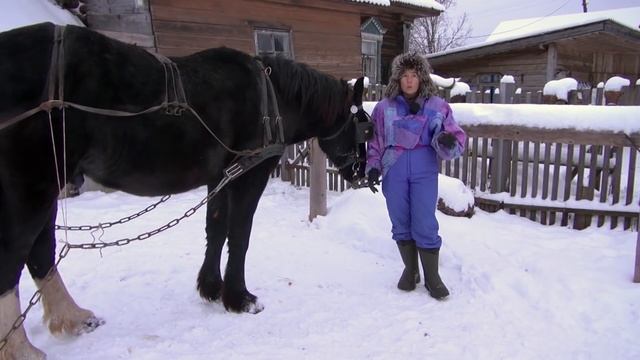 И снова о пользе лошади в деревне. Навозовоз. смотреть онлайн