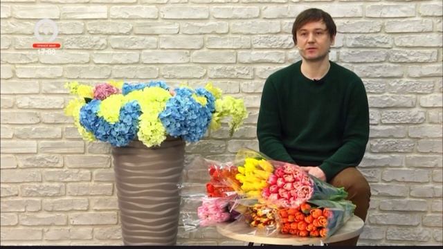 Дебют на тюльпанах. смотреть онлайн