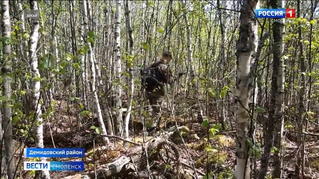 Влад Бахов.Ровно год назад смоленский подросток попал в беду. смотреть онлайн