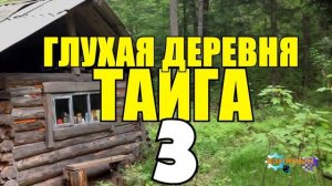 0845 - ЗАТЕРЯННАЯ ДЕРЕВНЯ В ТАЙГЕ _ ПОХИЩЕНИЕ НЕВЕСТЫ _ СВАДЬБА _ ЗАГОВОР НА ЗАИМКЕ 3 из 5.mp4