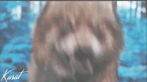 - А мы не ангелы парень -  | волки и драконы клип |