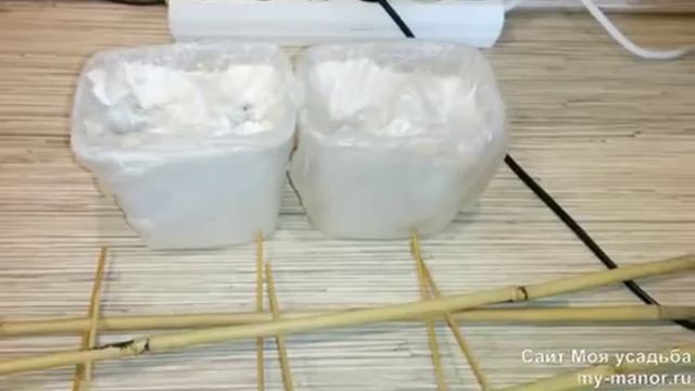 ФИТОЛАМПА ДЛЯ РАССАДЫ: КОНСТРУКЦИЯ СВОИМИ РУКАМИ смотреть онлайн