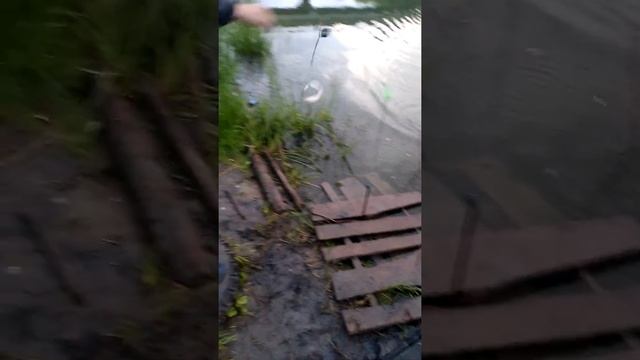 рыбалка Курганская область смотреть онлайн