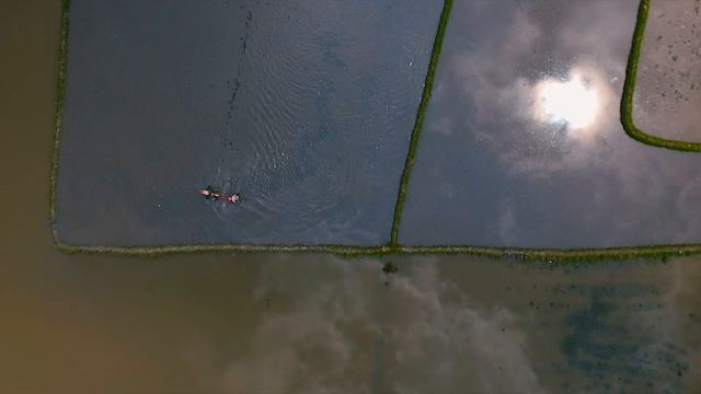 SPACE DOCKER "REMOTE" смотреть онлайн