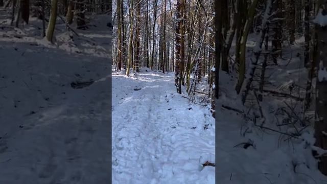 Что меня ожидало в лесу Оденвальд смотреть онлайн