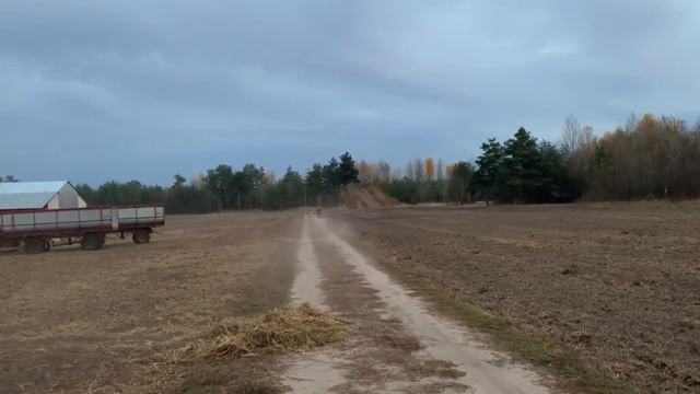 Дед Іван на КТМ SXF-450 . смотреть онлайн