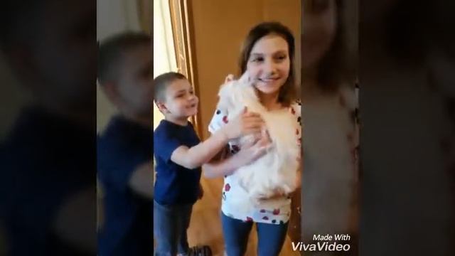 Ура! Нам купили собаку! смотреть онлайн