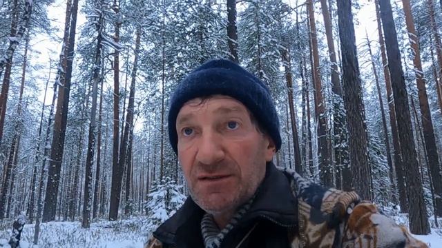 За глухарём по первому снегу. Немного о карело-финской лайке. смотреть онлайн