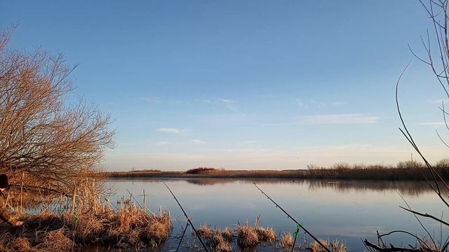 Ловля подлещика 2020. Зельвенское Водохр. Беларусь смотреть онлайн