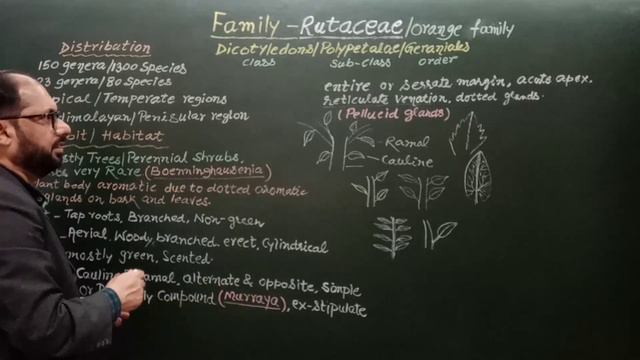 #Family Rutaceae #Rehan's Biology #रूटेसी #Citrus family #Botany 1st B.Sc.Part2 Botany 1st paper смотреть онлайн