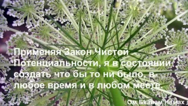 8 День Медитация "Изобилие и Закон Чистой Потенциальности" смотреть онлайн