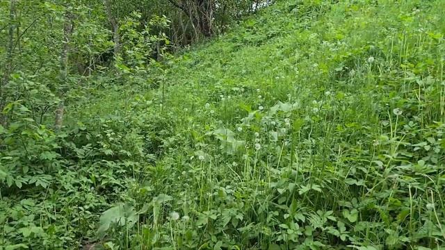 В поисках Цмока или как мы искали единственную пещеру в Беларуси. смотреть онлайн