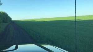Выращивание льна по NO-TILL. Внесение бора на лен.