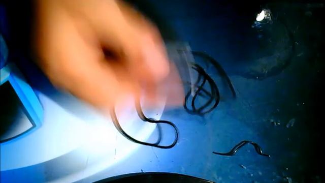 مراجعة ميكروفون من موقع جيربستgearbest*** NEWGOOD N - P2 Mini 30Hz - 15000Hz 3.5mm*** смотреть онлайн