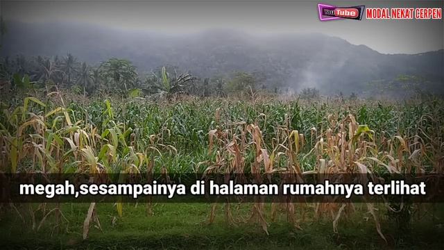 Tamat Tenang Bu Ayah Masih Tidur Kok (Cerita Romantis) смотреть онлайн