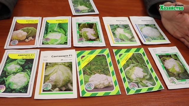Лучшие сорта и гибриды цветной капусты: от самых ранних до самых поздних. смотреть онлайн