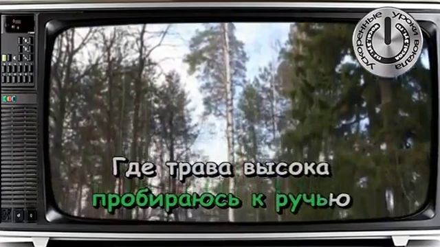 Беловежская пуща! Караоке смотреть онлайн