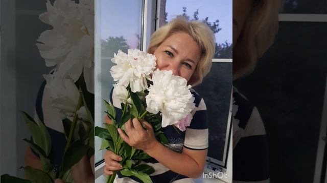 Пионовое настроение. #цветы #пионы смотреть онлайн