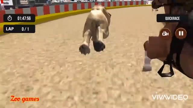 Wild Lion Racing Fever - Animal Race |Zoo games| смотреть онлайн