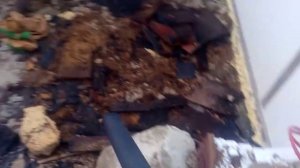 Воздуходувка пылесос Bort BSS 900 R