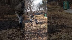 Craftsman 900 Series 24 Запуск культиватора! Весна пришла!