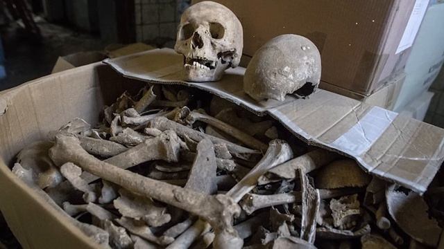 ПОЛНАЯ ЭВОЛЮЦИЯ ЧЕЛОВЕКА | Кем на самом деле были Кроманьонцы? смотреть онлайн