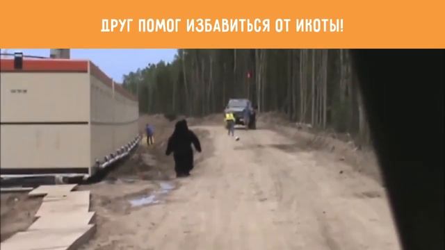 Друг помог избавиться от икоты! смотреть онлайн