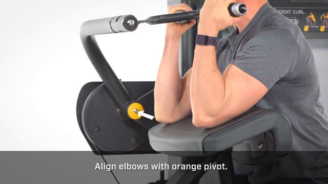 Ultra Dependent Curl Setup And Movements