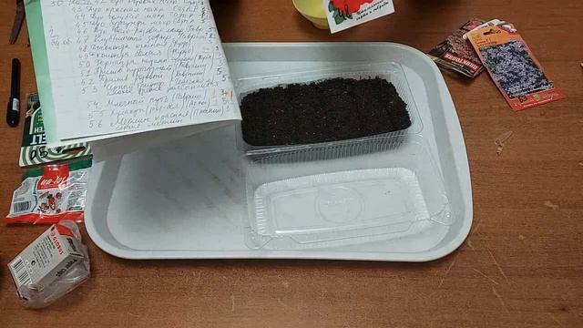 Бакопа (сутера) и петуния Джоконда. Посев семян. смотреть онлайн