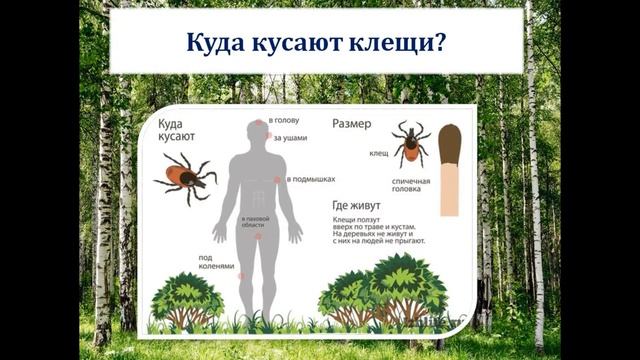 Видео-буклет Клещи.mp4 смотреть онлайн