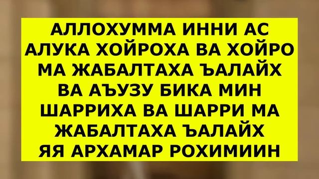 ЭР ХОТИН ТОРТИШИБ КОЛГАНДА УКИЛАДИГАН ДУО, эр хотин муносабатларини яхшилаш дуоси смотреть онлайн