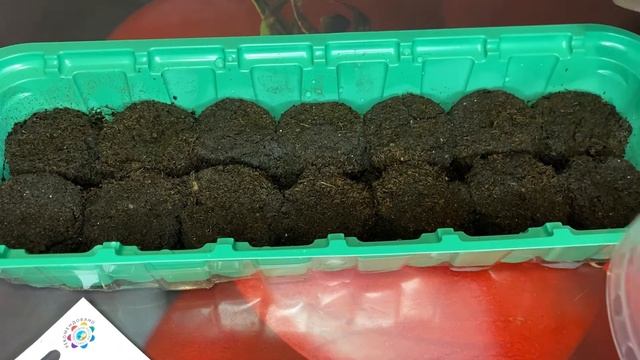 Гацания посев семян на рассаду. 100% всхожесть смотреть онлайн