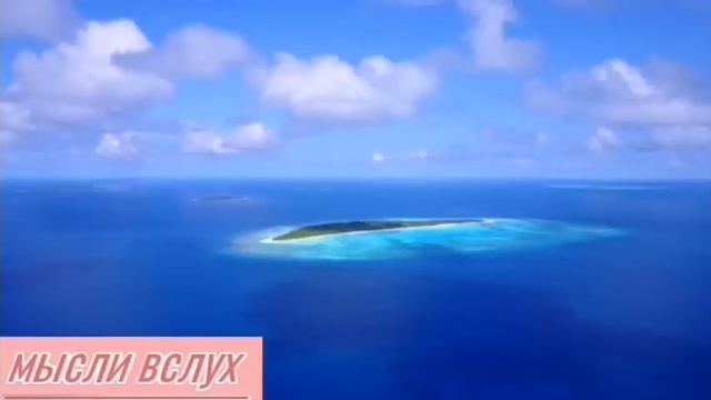 Самвел Ад раздувает адский костер.Доместосом бы душу помыть.Самому черту конкуренцию составят. смотреть онлайн