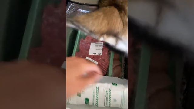 Где заказать продукты в Израиле. Магазин Тив-Там и цены смотреть онлайн