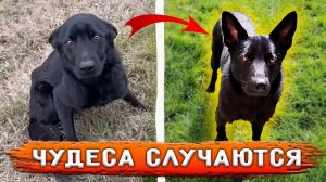 Джек был выкинут на трассу. Теперь живет в Германии, счастливой жизнью, о которой он даже не мечтал.