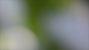 Nikkor Z 50/1.2 S. Большой объектив для системы Nikon Z