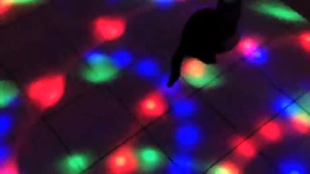 Диско лампа смотреть онлайн