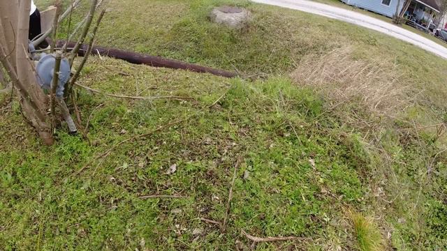 MOST Overgrown And Neglected Lawn Gets A Fresh Cut With Only A Weed Eater Tall Grass Cutting смотреть онлайн
