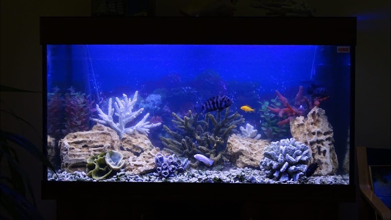 Друзья хосписа «Царицыно» смотреть онлайн