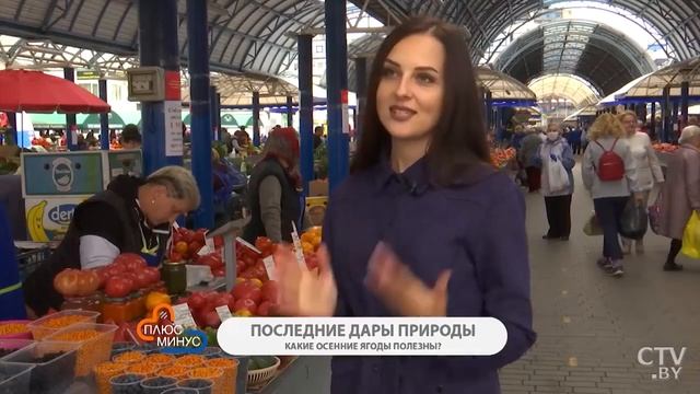 Последние дары природы Какие ягоды полезны смотреть онлайн