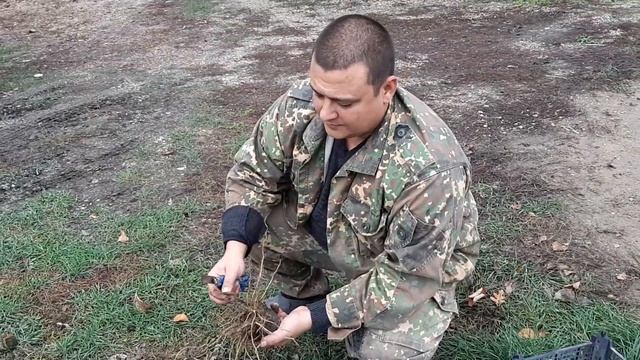 Огород в ноябре 2020, собираем корневой сельдерей, картошку, свеклу, зелень, дайкон, перцы и т.д. смотреть онлайн